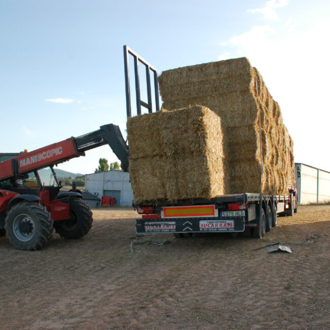 Claramunt Agrocomercial - Comercial por mayor productos agrícolas (4)