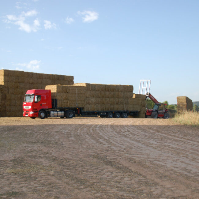 Claramunt Agrocomercial - Comercial por mayor productos agrícolas (5)