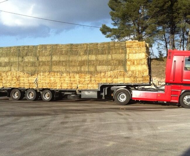 Claramunt Agrocomercial - Comercial por mayor productos agrícolas (8)