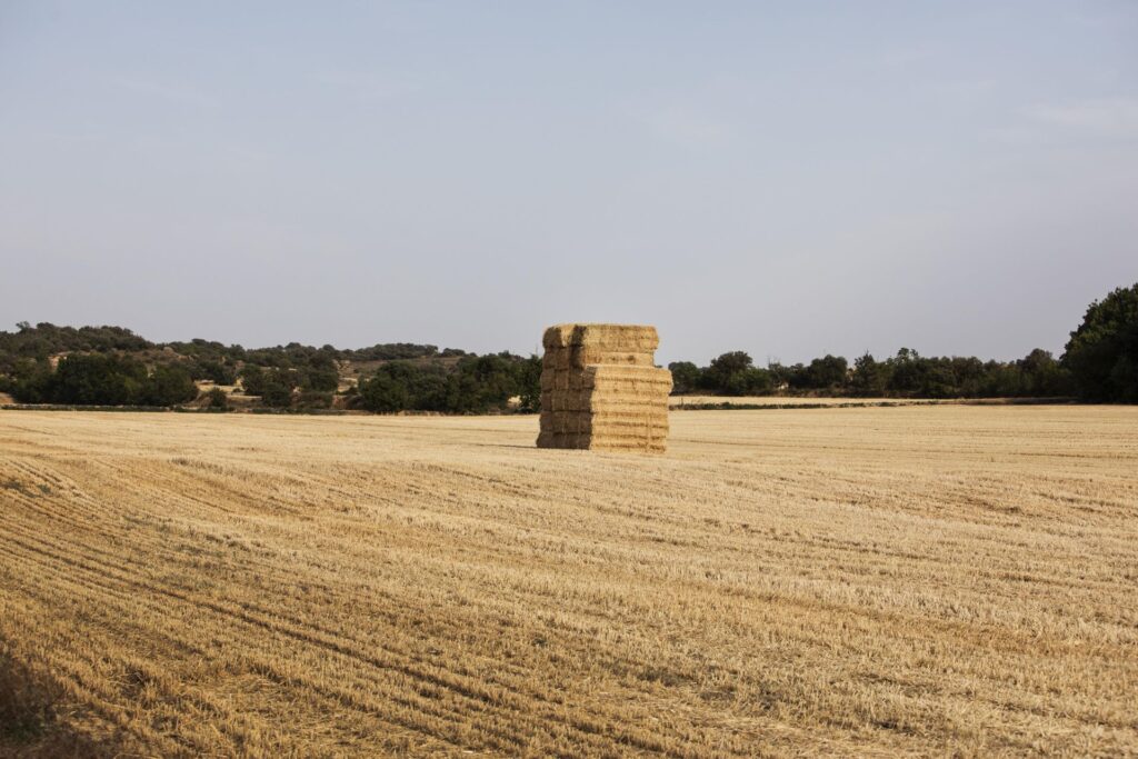 Venta de alfalfa